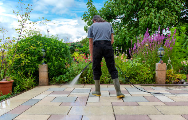 Best Fence Cleaning  in Channahon, IL